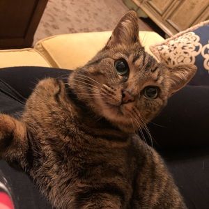 Meet your Posher, Carly